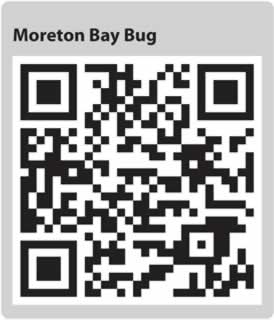 Image for QR code for this page